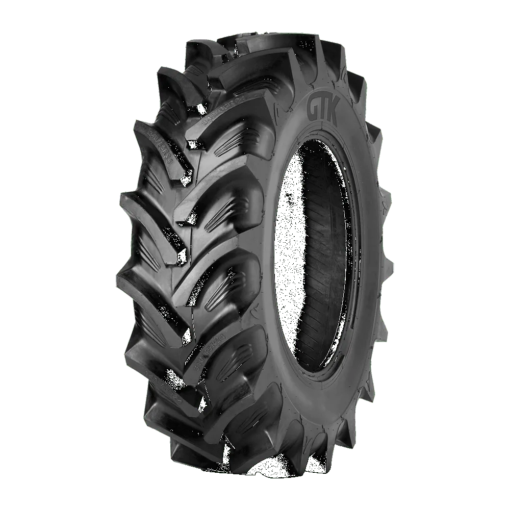 Спецшина GTK RS200 600/65-38 163A8 TL