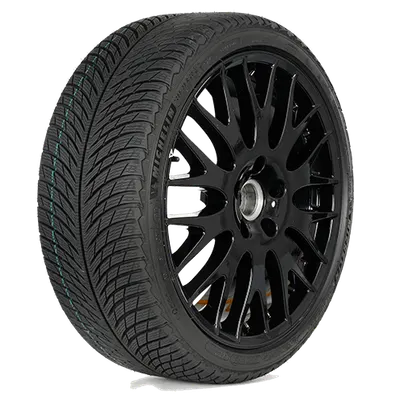 Michelin Pilot Alpin 5