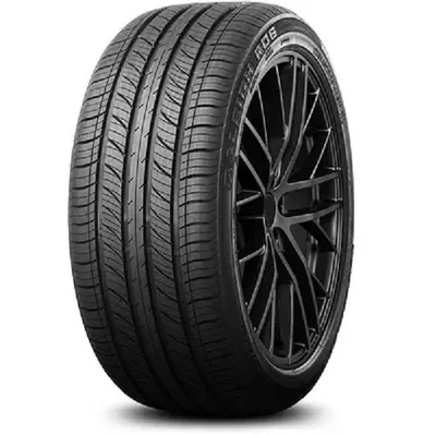 Rydanz Raleigh R06