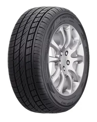 Fortune FSR-303