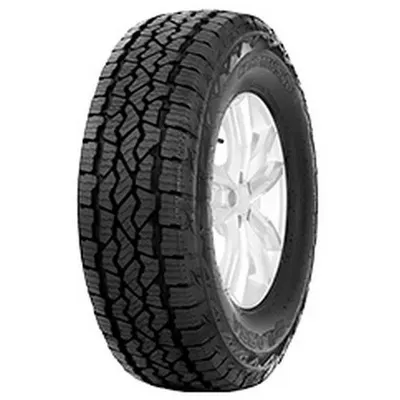 Lassa Competus A/T3