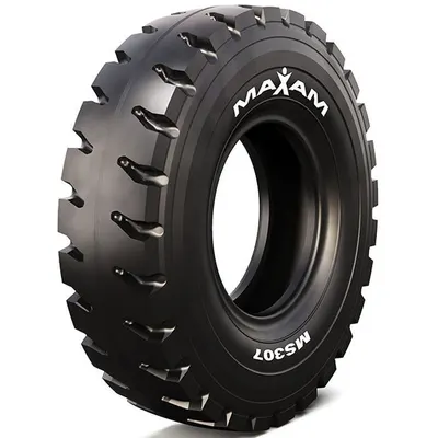 Maxam MS307