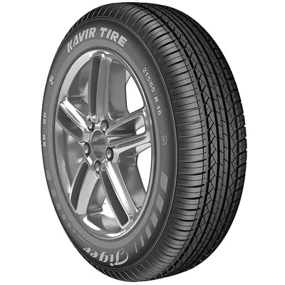 Kavir Tire Tiger KB66