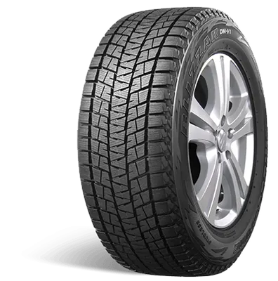 Bridgestone Blizzak DMV1