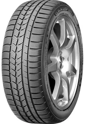 Roadstone WinGuard Sport