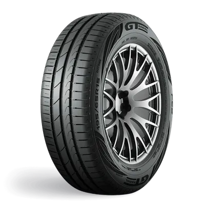 GT Radial FE2