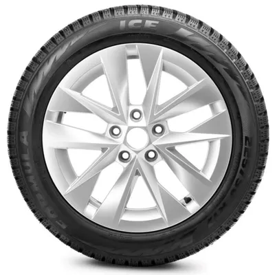 Pirelli Formula Ice нешип.