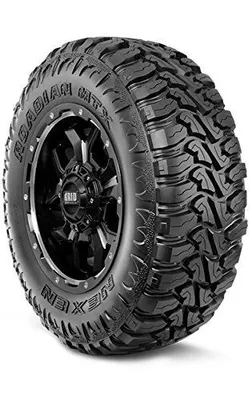 Nexen Roadian MTX RM7
