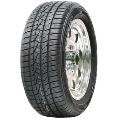 Delinte AW5